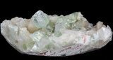 Zoned Apophyllite Crystals on Stilbite - India #44447-4